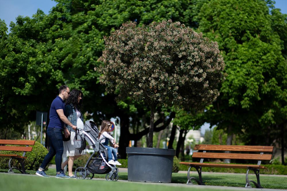 Carucior transformabil 3in1 Coccolle Acero Bej